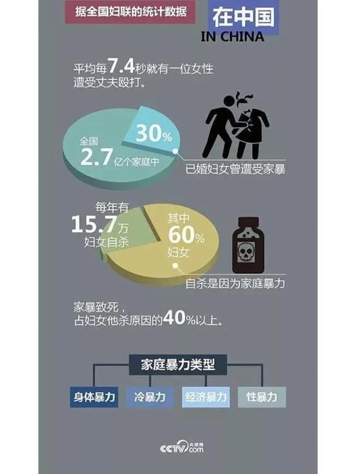 中国反家暴法人身保护令驳回事由统计表格