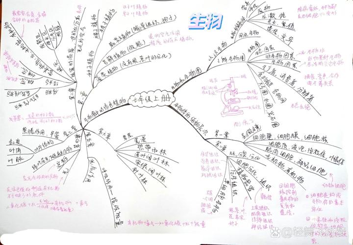 中学生物课堂学生手绘思维导图草稿