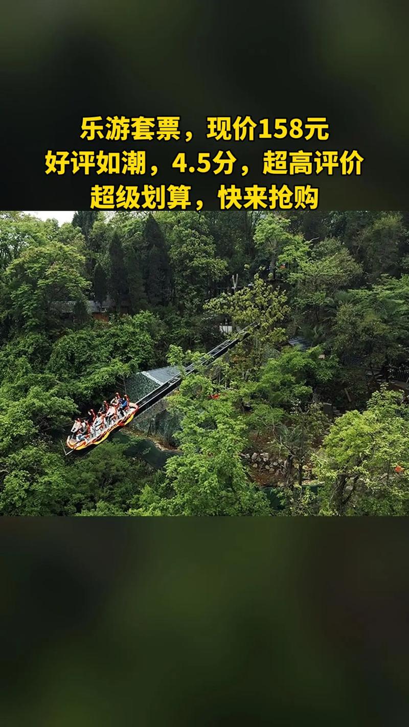 成年后,我花大价钱买了秋千