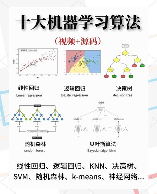 算法和机构，是互相成就的冤家