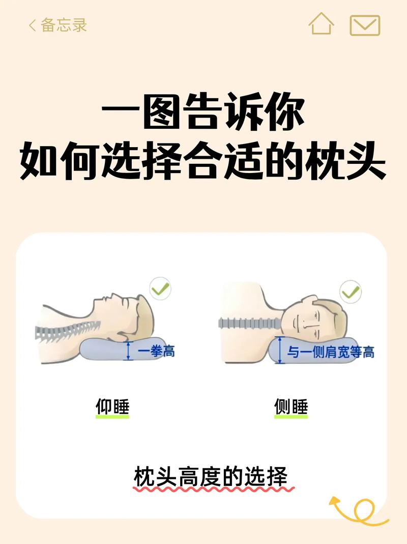 枕头高度与颈椎生理曲度示意图