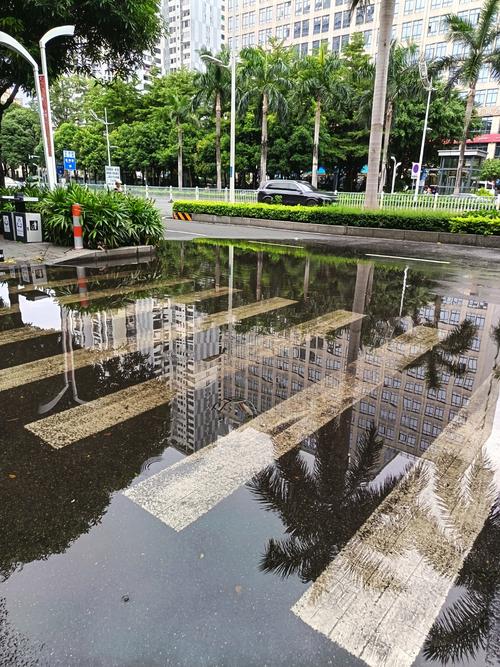 细雨：一场持续千年的低语-因为所以