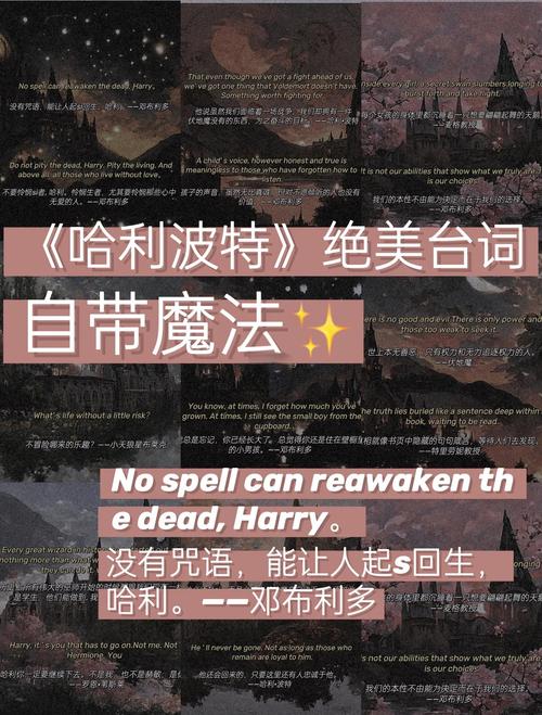 别迷信工具，连接才是魔法本身