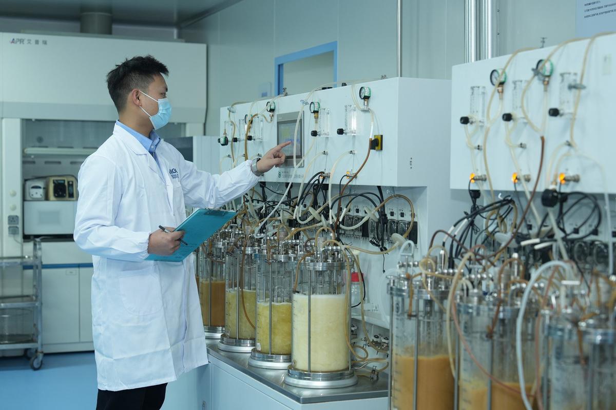 合成生物学企业菌种保藏标准操作现场图