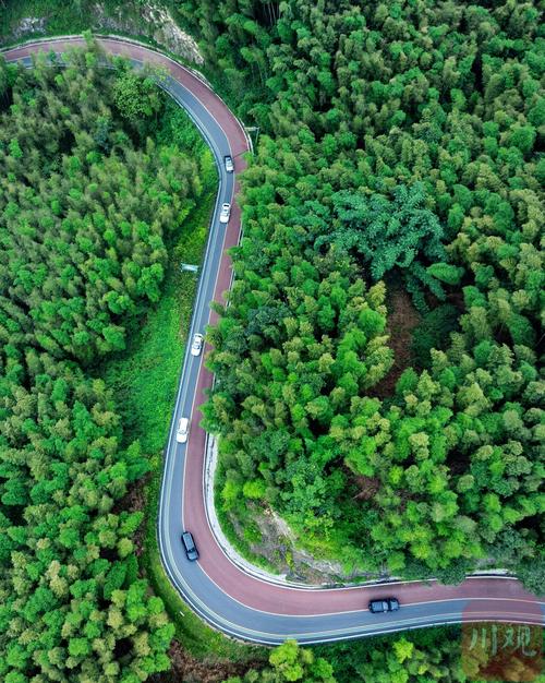 安吉竹海公路