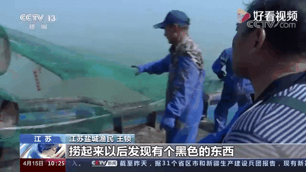 渤海湾近海非法盗捞水下文物现场