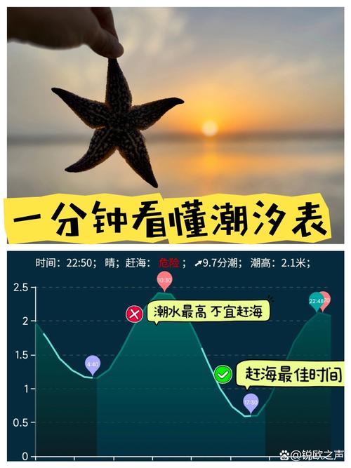 潮汐之外,我们能做什么