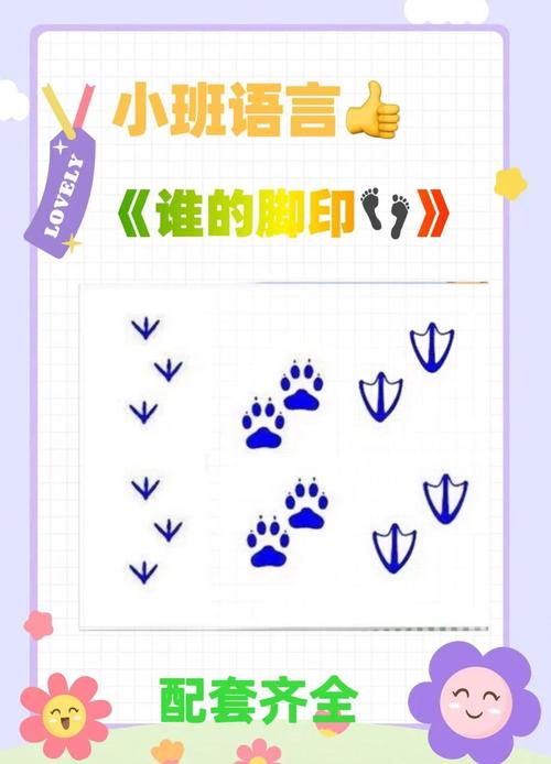 它们的踪迹:每一个脚印都可能是一个故事