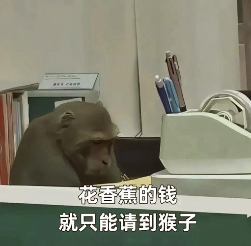 二、钱!钱!钱!算到头疼