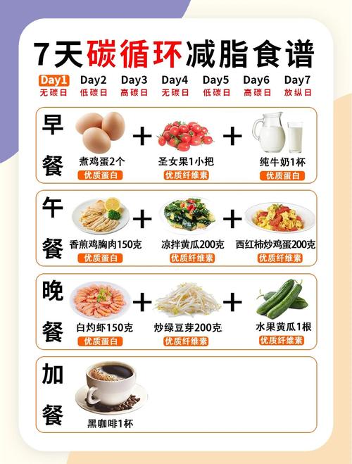 脂肪肝人群健康晚餐时间代谢示意图