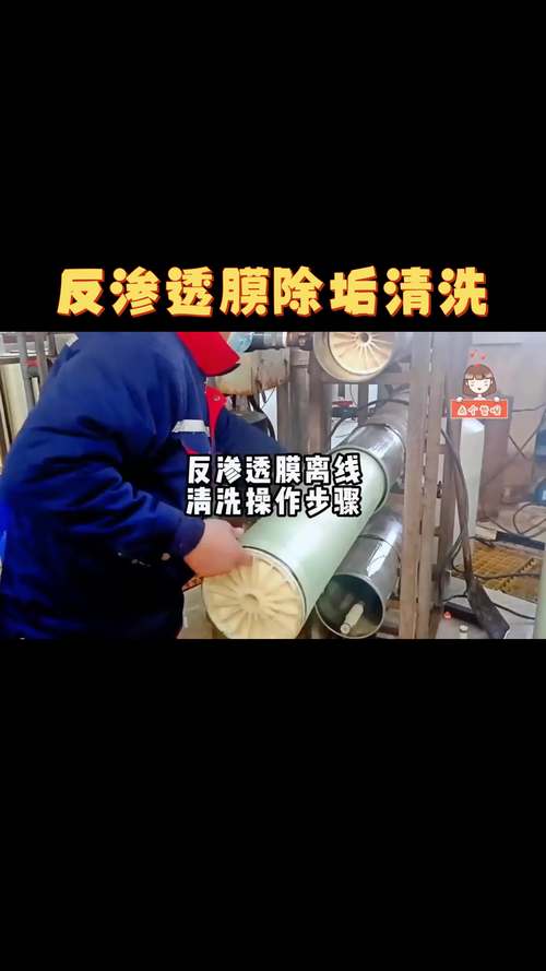 反渗透膜微生物污染后清洗对比实验