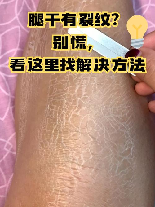 流延膜干燥后边缘开裂缺陷照片