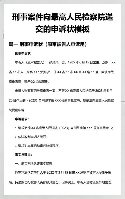 辩护权受侵害向检察院申诉的流程示意图