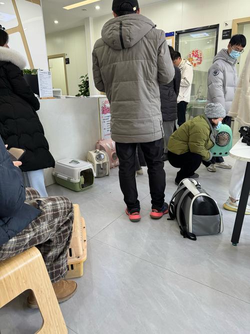 宠物医院缴费窗口排队的养宠人