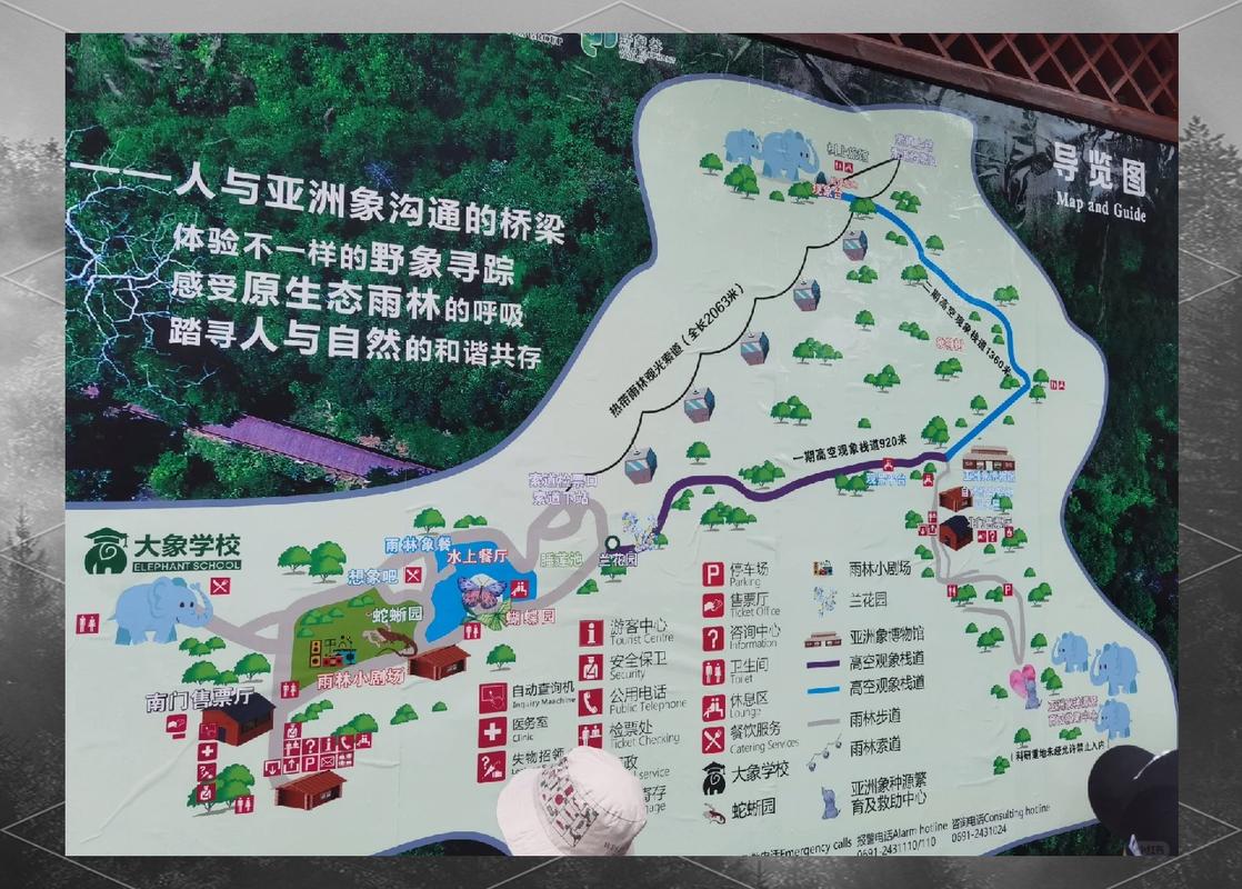 野象谷亲子游玩攻略