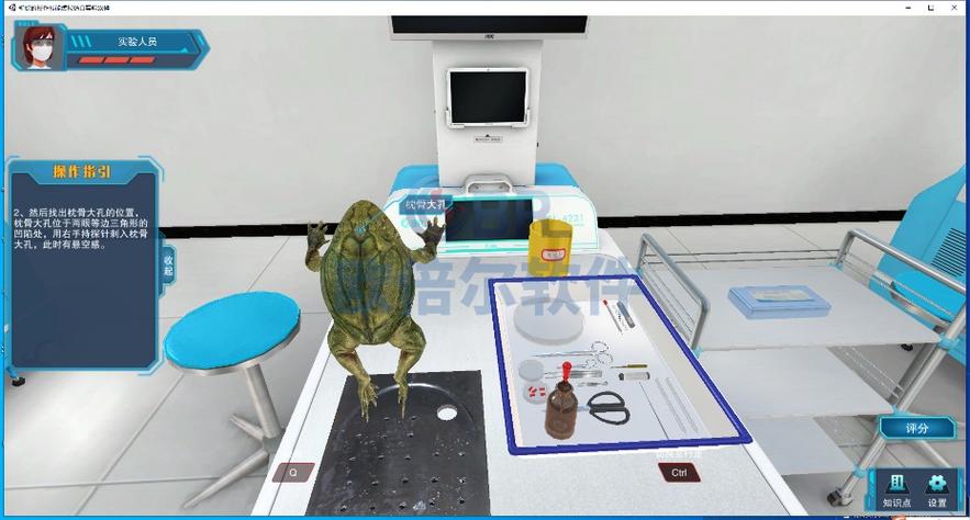 中学生物虚拟青蛙解剖实验室操作场景