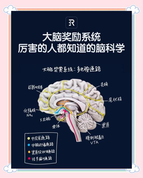 为什么我们的大脑天生抵触实践？
