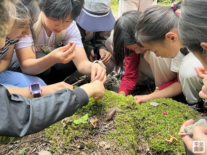 课后服务自然社团学生后山观察植物场景