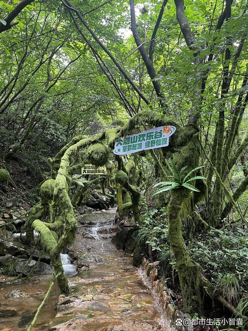 本地人私藏玩法，别瞎跑跟着走就对了