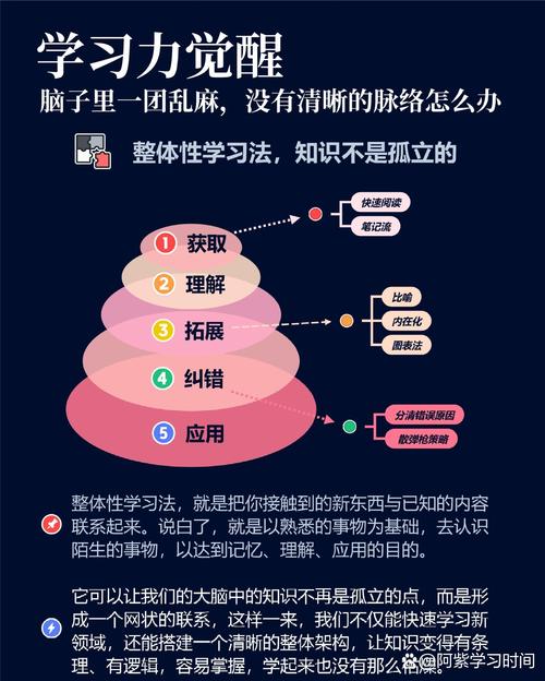 幼儿错误学习大脑快递分拣比喻示意图