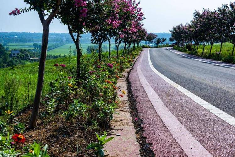 襄阳南漳清河管理区乡村茶区公路
