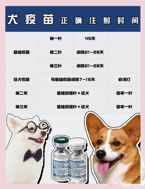 狗狗的疫苗种类:哪些必打,哪些可选