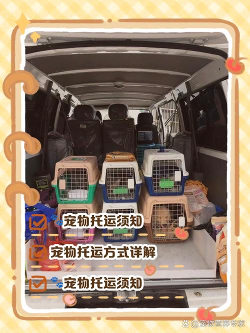 宠物坐车时航空箱放置位置示意图