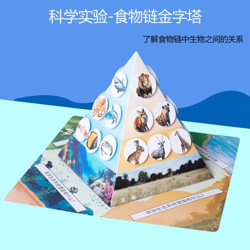 家庭自制硬纸板活页食物链手工成品图