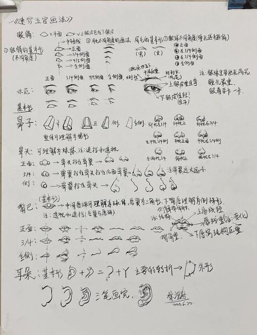 分阶段整理好的零基础绘画教程手写笔记实拍