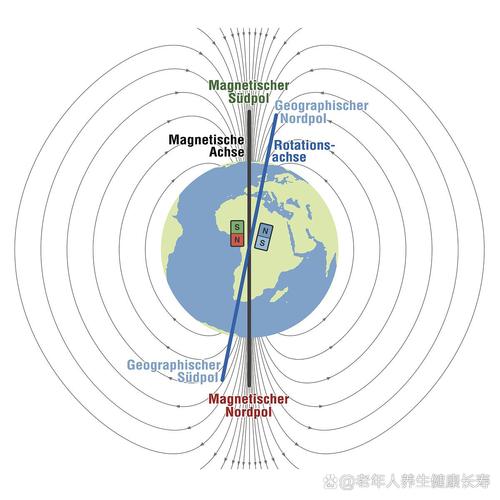鸟类磁场感应导航原理示意图