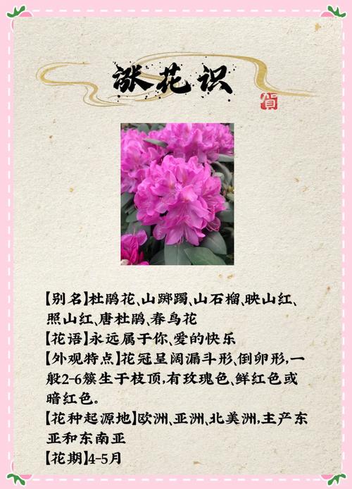 手机摄影个人花谱手帐杜鹃花页