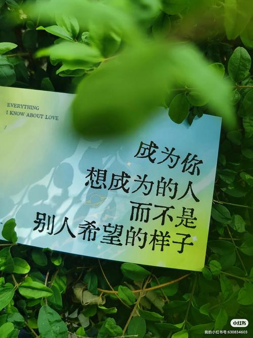 三、内容匹配度,可能比你想的更苛刻