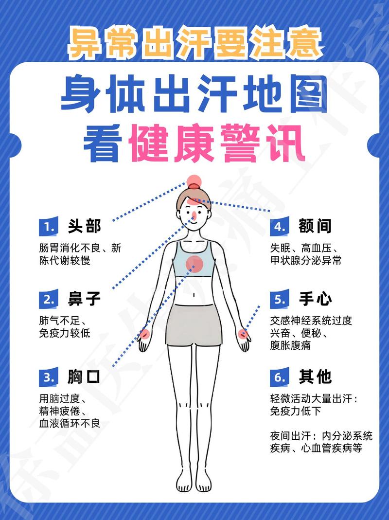 人体汗液成分占比科普示意图