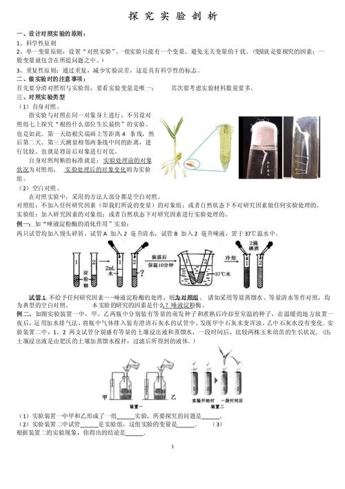 易混淆:对照组和实验组,谁才是那个“特殊对待”的?