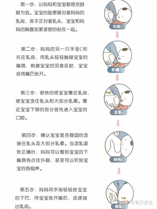 婴儿哺乳期有效吸吮和安抚吸吮对比示意图