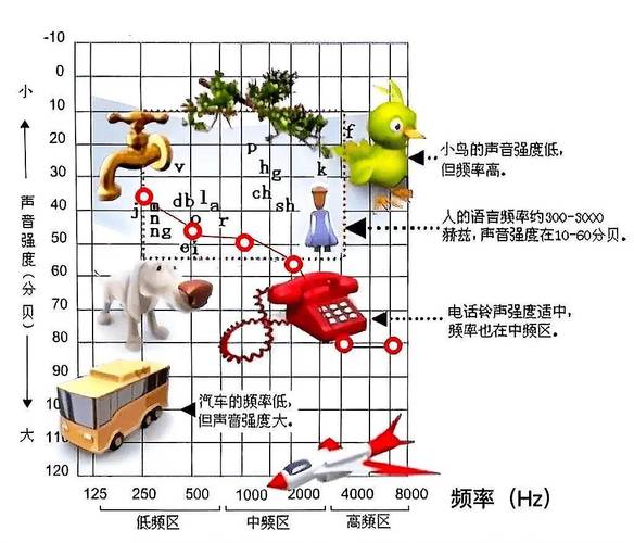 人类与犬类听觉频率范围对比示意图