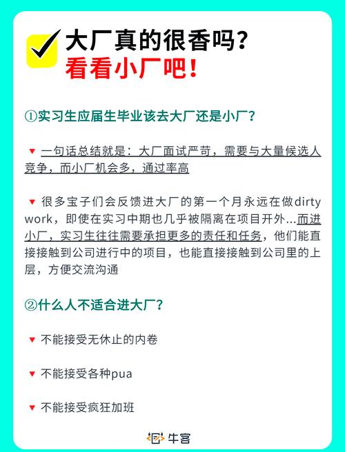 大厂小厂各有优势，选对不选贵