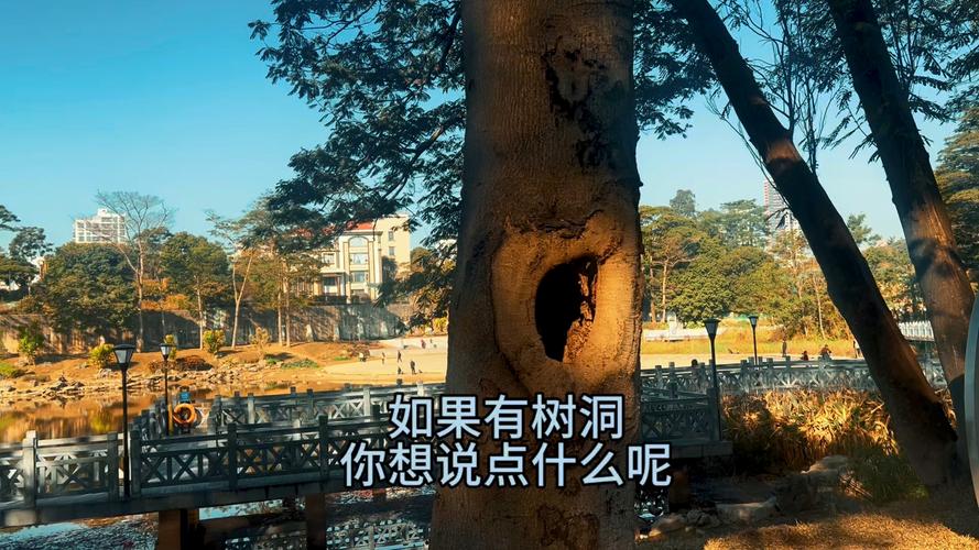 小心那个太深情的树洞