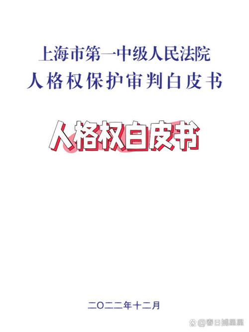 北京高院涉人格权纠纷审判白皮书封面