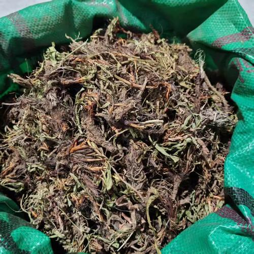 干燥草本天然除味原料实拍