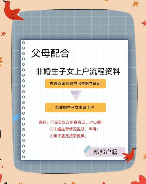 非婚生子女亲子确认流程示意图