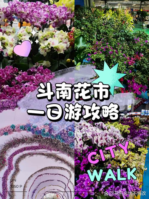 三、Day 2:斗南花市+官渡古镇(省钱版)