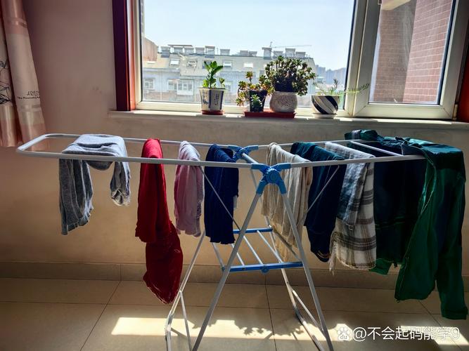 闲置衣物清洗消毒晾晒场景图