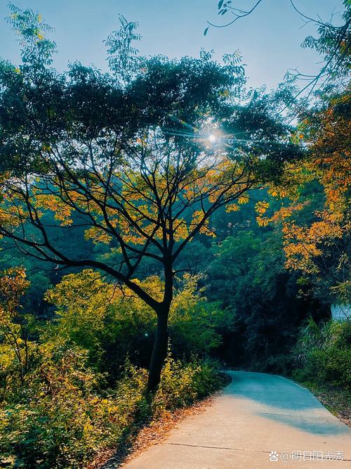 免费的山野与公园：让时间变慢的秘诀