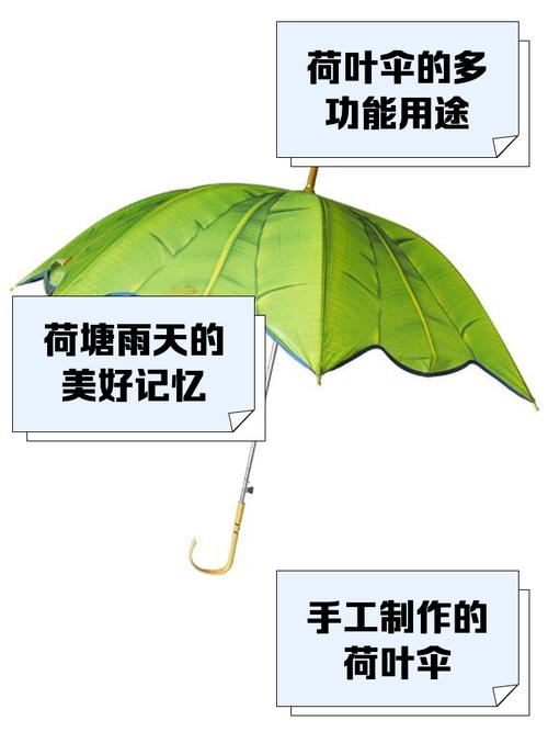 一把好雨伞,凭什么要卖上千块?——从材料到骨子里的讲究-因为所以