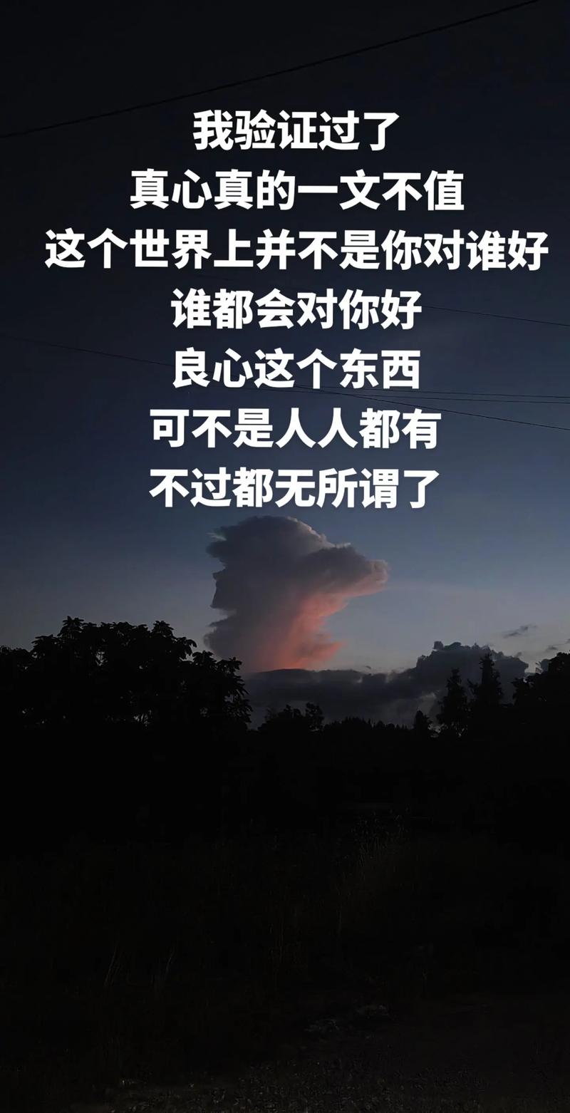 到底值不值？真心话