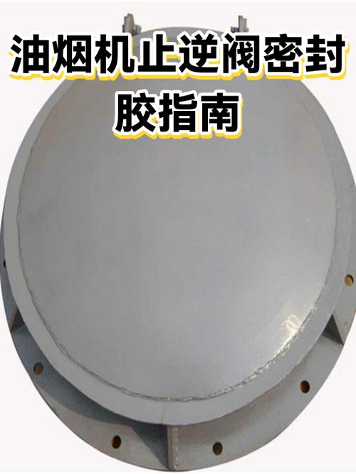 止逆阀密封硅胶圈老化开裂细节图