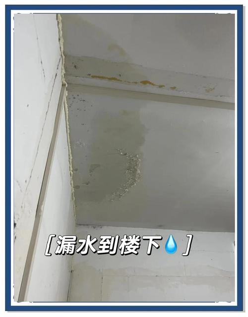 楼下住户家查看闭水试验渗漏实拍