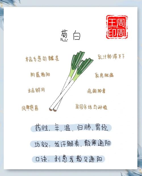 葱的养生迷思与打脸时刻