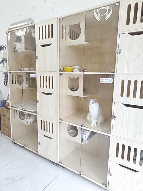 宠物寄养独立封闭猫隔间实拍